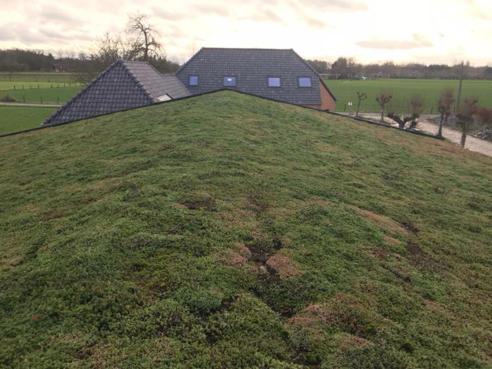 De Worfthoeve Bed and Breakfast Geel Exterior foto