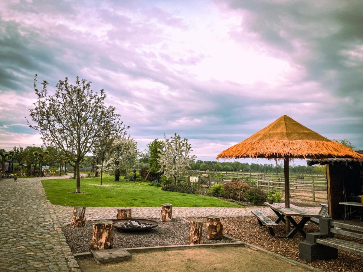De Worfthoeve Bed and Breakfast Geel Exterior foto