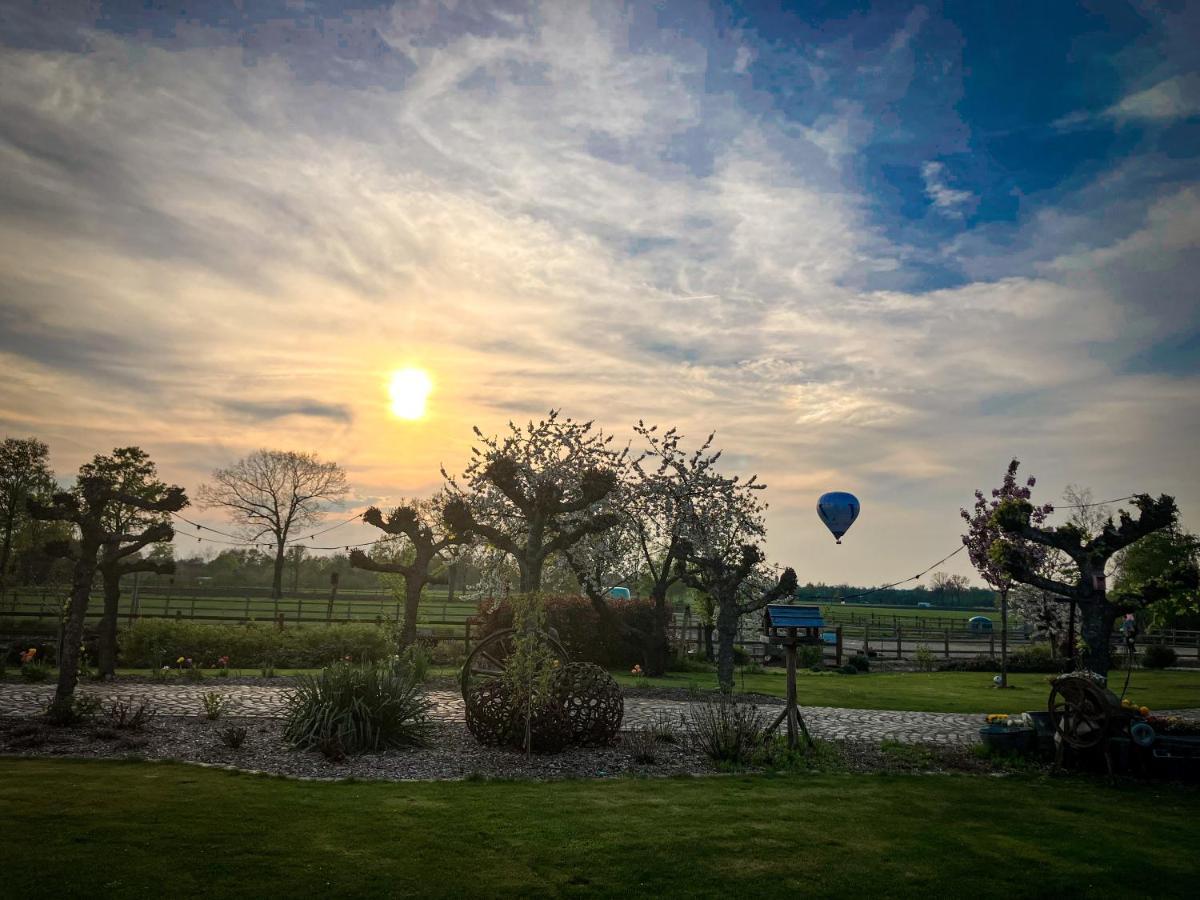De Worfthoeve Bed and Breakfast Geel Exterior foto